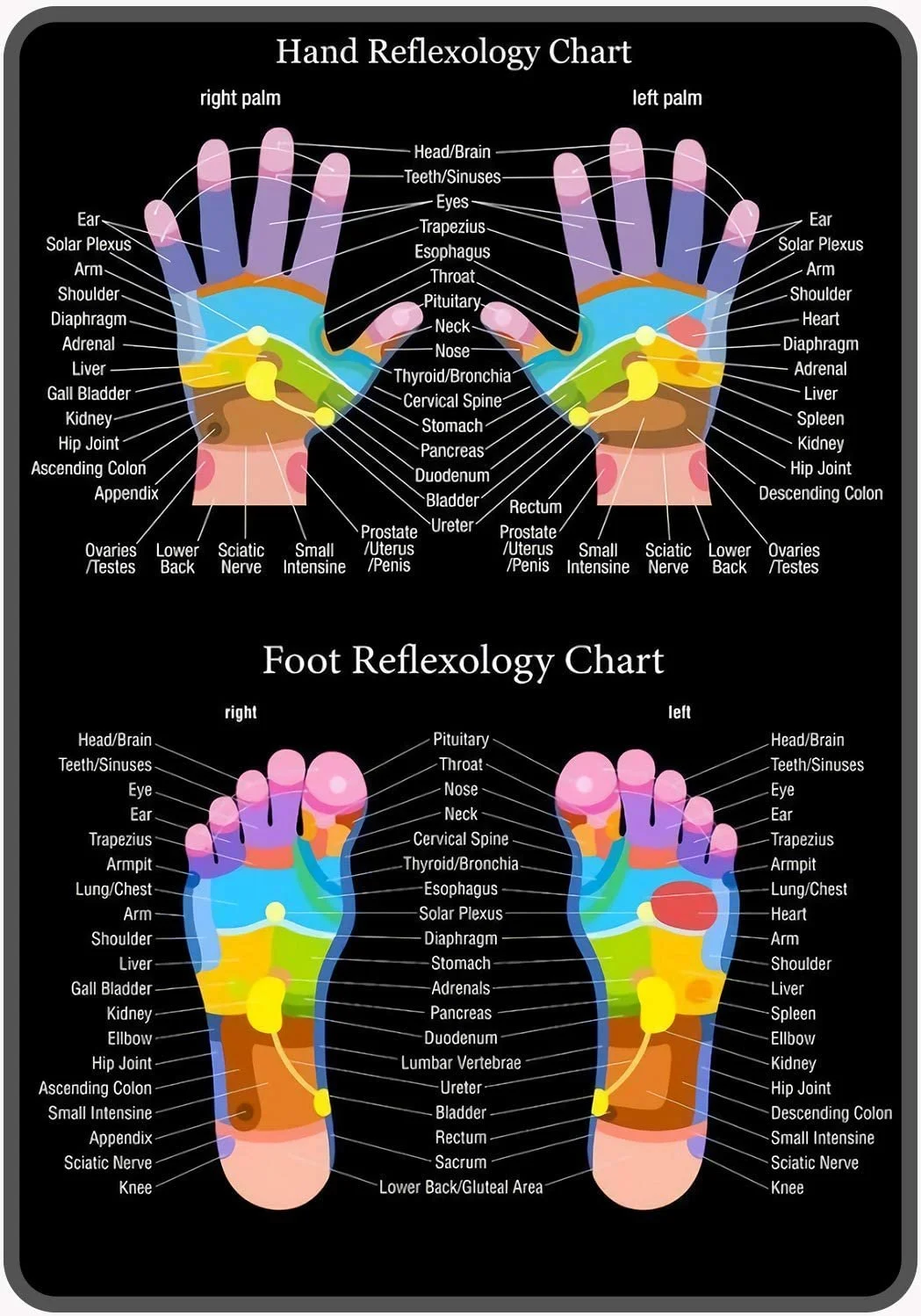 Reflexology now available — Alleviate Massage & Muscle Therapy